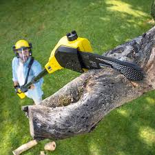 Lawn Grading and Leveling in Olton, TX